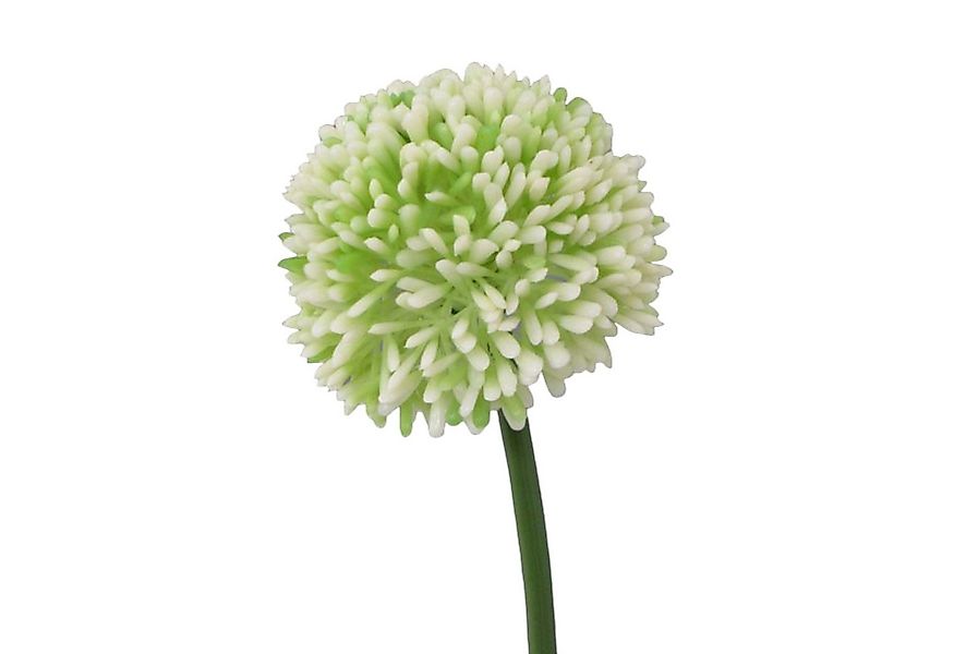 Kunstblume Kunstblume ALLIUM ca 44cm. Blütenkopf ca 6,5cm., Gasper, Höhe 44 günstig online kaufen