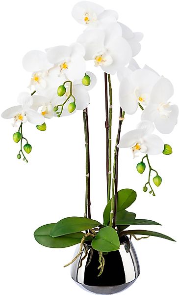 Kunstorchidee Phalaenopsis im Silbertopf Orchidee Phalaenopsis, günstig online kaufen