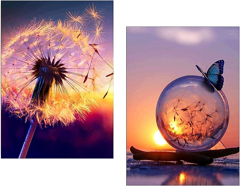 LA CUTE Malen nach Zahlen Pusteblume Schmetterling - 5D Diamond Painting Se günstig online kaufen