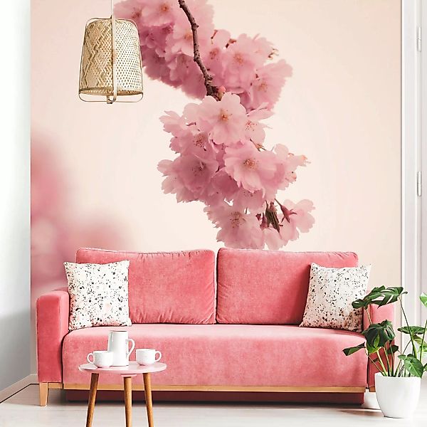 Fototapete Zartrosane Frühlingsblüte mit Bokeh günstig online kaufen