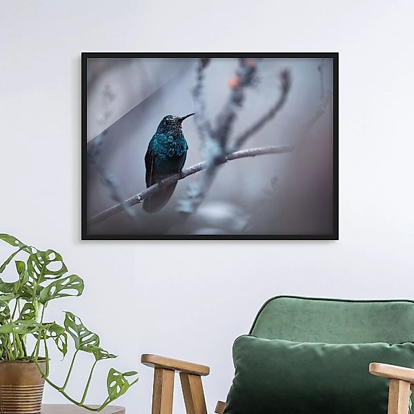 Bild mit Rahmen Tiere - Querformat Kolibri im Winter günstig online kaufen