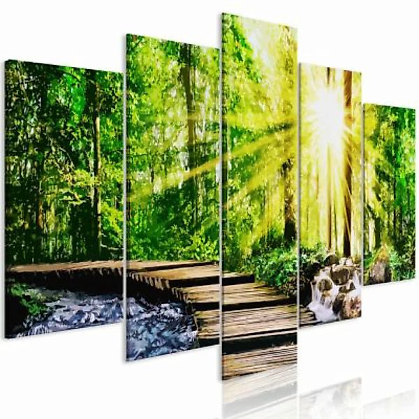 artgeist Wandbild Forest Footbridge (5 Parts) Wide mehrfarbig Gr. 200 x 100 günstig online kaufen