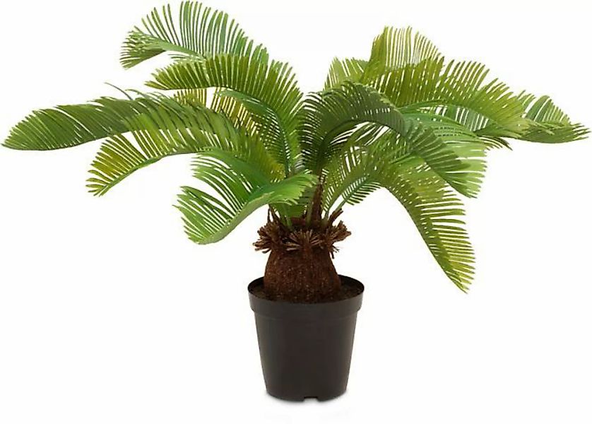 Palmfarn Cycas Kunstpflanze, 59 cm günstig online kaufen