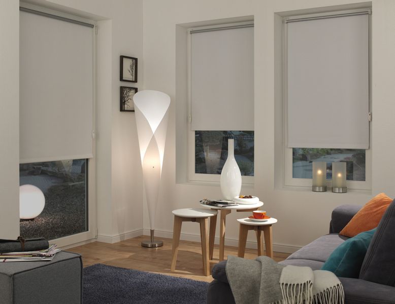 GARDINIA Seitenzugrollo »EASYFIX Rollo Thermo ENERGIESPAREND« verdunkelnd S günstig online kaufen