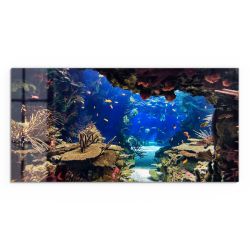 DEQORI Glasbild 'Exotisches Aquarium', 'Exotisches Aquarium', günstig online kaufen