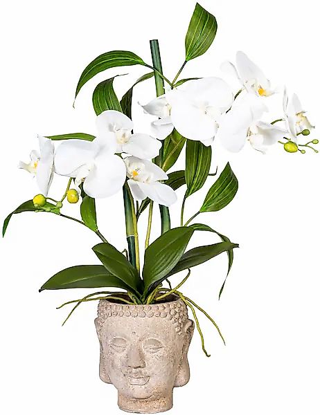 Creativ green Kunstorchidee »Orchideen-Bambus-Arrangement im Buddhakopf« günstig online kaufen