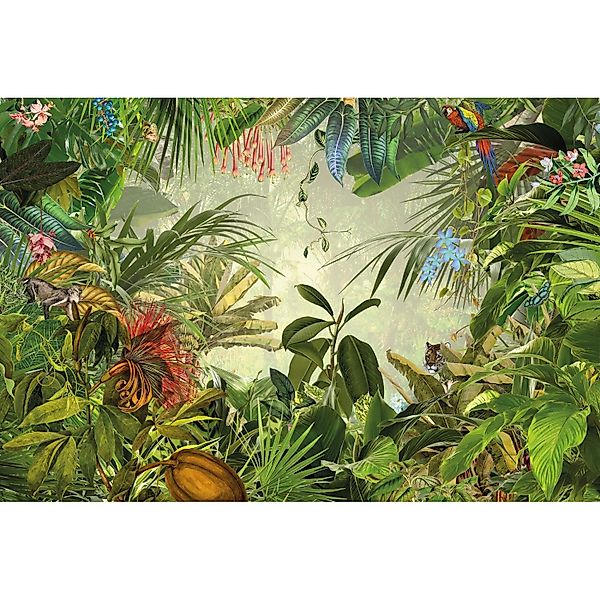 Komar Fototapete Into The Wild Dschungelgrün 368 x 248 cm 611128 günstig online kaufen