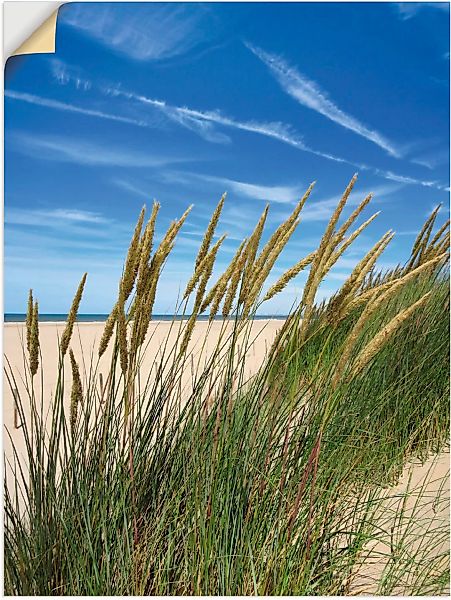 Artland Wandbild "Blühendes Strandgras", Strand, (1 St.), als Leinwandbild, günstig online kaufen