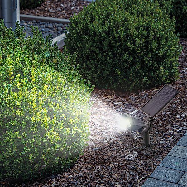esotec LED Gartenstrahler Solarstrahler LED-Gartenspot, 5 LEDs 6000K kaltwe günstig online kaufen