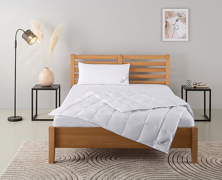 Home affaire Daunenbettdecke + Kopfkissen "Moulle, Bettdecke in 135x200 cm, günstig online kaufen