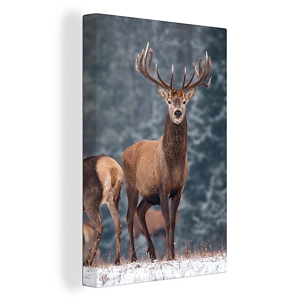 OneMillionCanvasses® Leinwandbild Waldtiere - Hirsche - günstig online kaufen