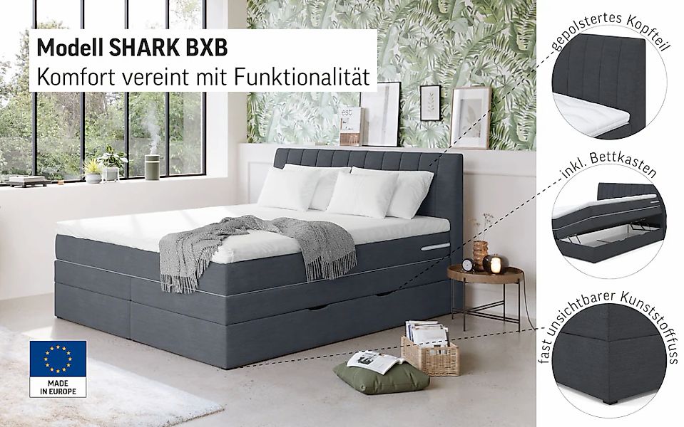 COTTA Boxspringbett "Shark inkl. Bettkasten und Topper", erhältlich in den günstig online kaufen