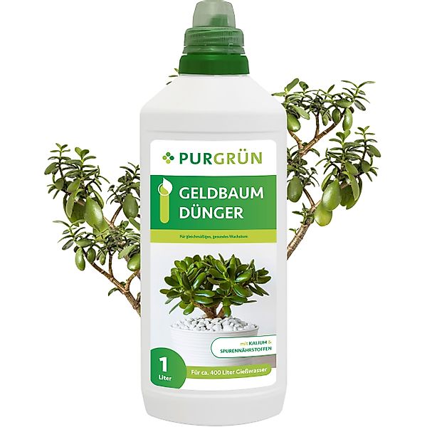 Purgrün Universaldünger Purgrün Geldbaum Dünger, NPK günstig online kaufen