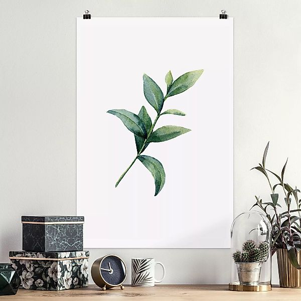 Poster Aquarell Eucalyptus II günstig online kaufen