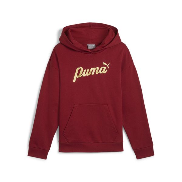 PUMA Kapuzensweatshirt ESS+ SCRIPT METALLIC HOODIE günstig online kaufen
