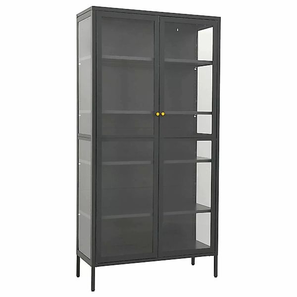 Vitrine Anthrazit 90x40x180 Cm Stahl Und Gehertetes Glas günstig online kaufen