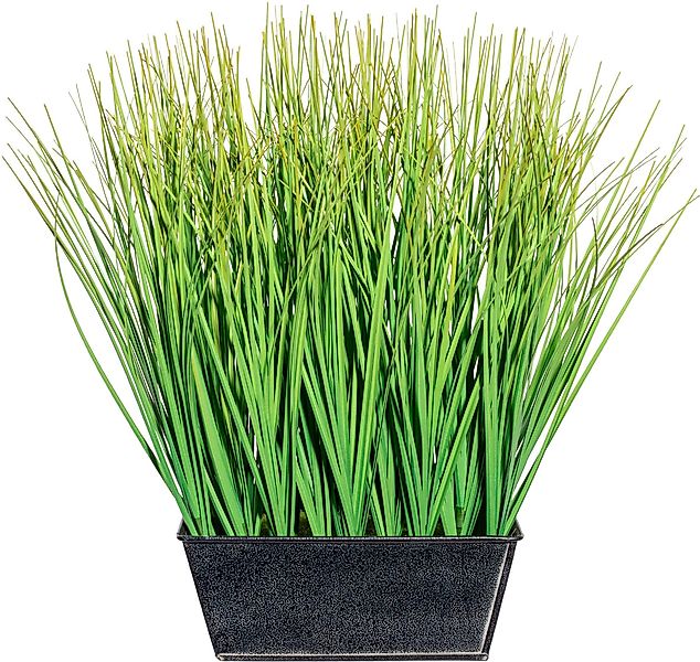 Kunstgras Gras Gras, Creativ green, Höhe günstig online kaufen