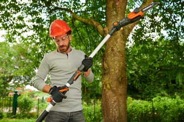 Worx Akku-Hochentaster "WG349E.9" () 20 cm Schwertlänge, ohne Akku und Lade günstig online kaufen