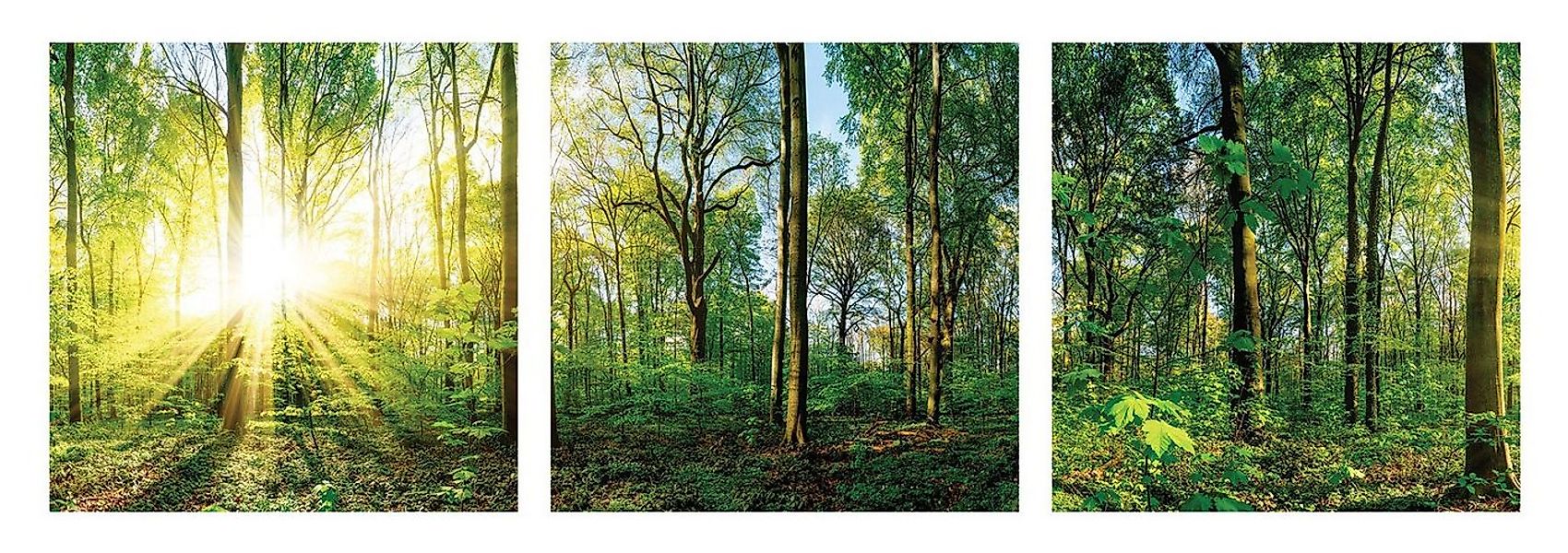 Levandeo® Glasbild, 3er Set Wandbild je 30x30cm Glasbild Wald Natur Sonne L günstig online kaufen