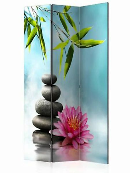 artgeist Paravent Water Lily and Zen Stones [Room Dividers] blau-kombi Gr. günstig online kaufen