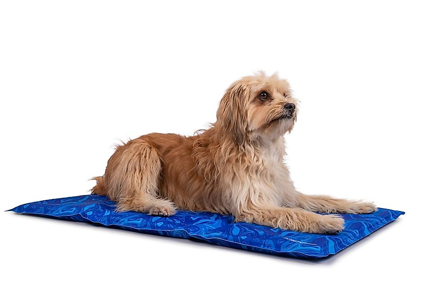 TrendPet Hundematte Arctic Comfort Kühlmatte, 100% günstig online kaufen