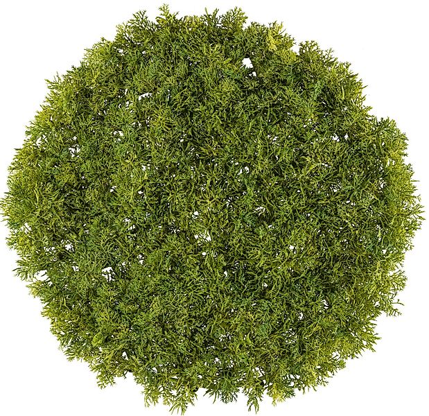 Kunstpflanze Matte Moos, Creativ green, in runder Form günstig online kaufen