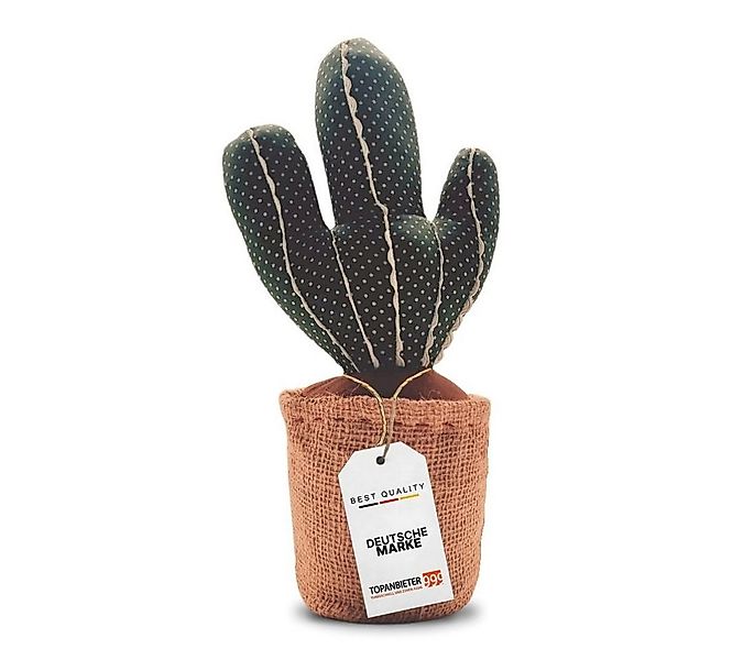 Topanbieter999 Türstopper Topanbieter999 Türstopper, Kaktus günstig online kaufen