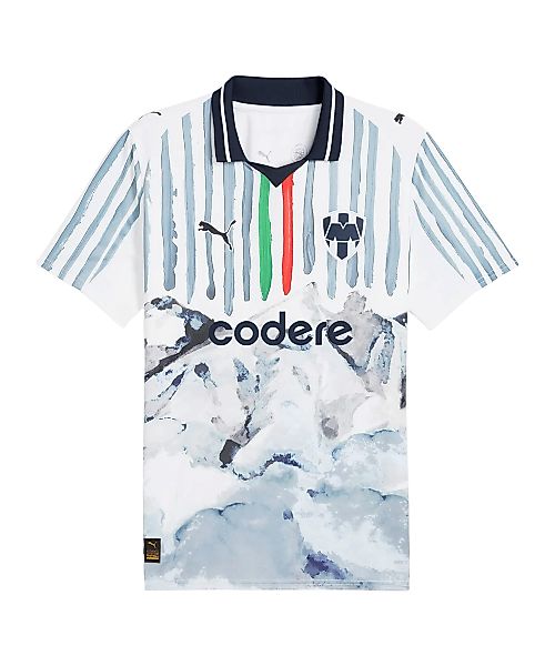 PUMA Fußballtrikot PUMA Teamsport günstig online kaufen