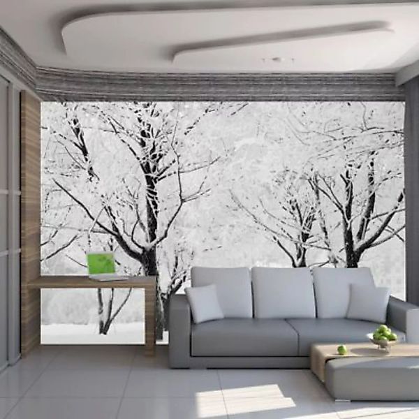 artgeist Fototapete Verschneite Bäume: Ein Wintermärchen schwarz/weiß Gr. 2 günstig online kaufen