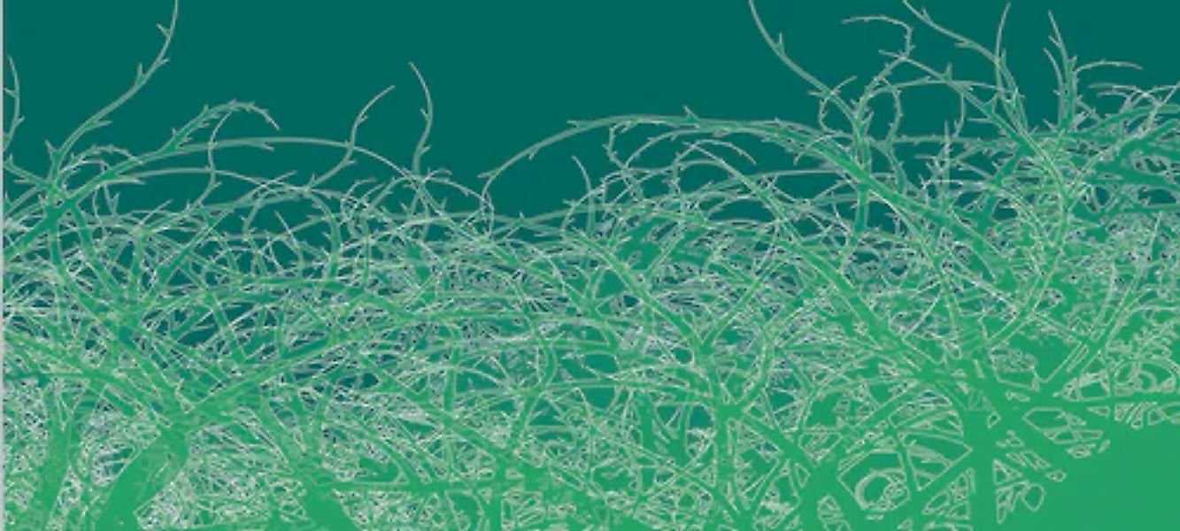 Architects Paper Fototapete »Atelier 47 Thorn Style 1« floral glatt Vlies, günstig online kaufen