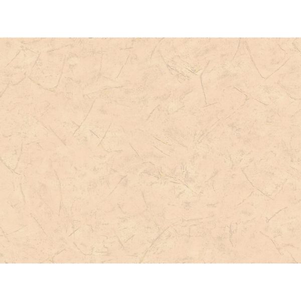 A.S. Creation Vliestapete Uni Beige FSC® günstig online kaufen