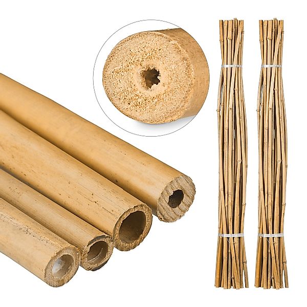 relaxdays Rankhilfe 50 x Bambusstäbe 150cm günstig online kaufen