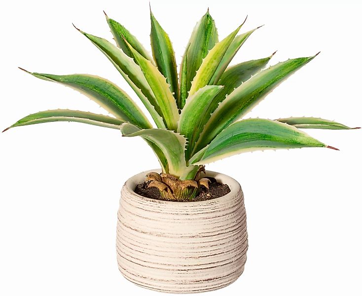 Creativ green Künstliche Zimmerpflanze "Agave im Zementtopf" günstig online kaufen