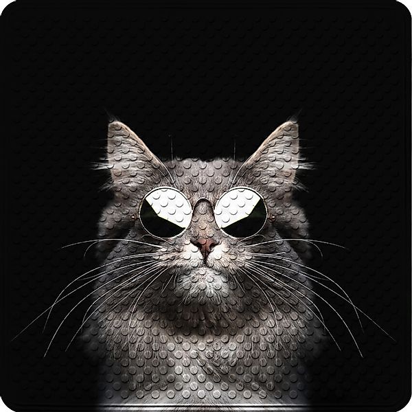 SANILO Badematte Cool Cat günstig online kaufen