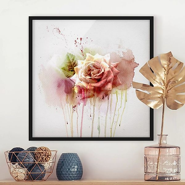 Bild mit Rahmen - Quadrat Aquarell Rose günstig online kaufen