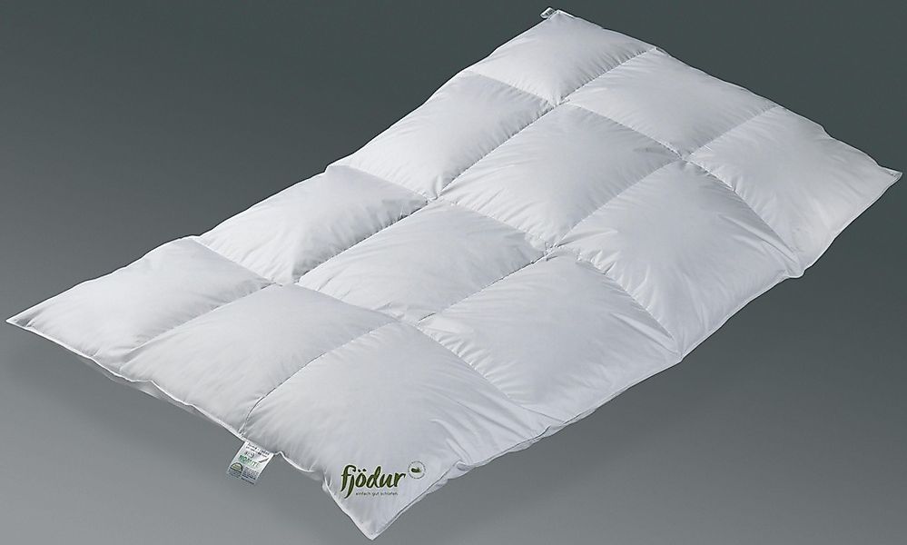 fjödur Federbettdecke "Fabiennes Basic, Bettdecken für Winter, Decke" extra günstig online kaufen