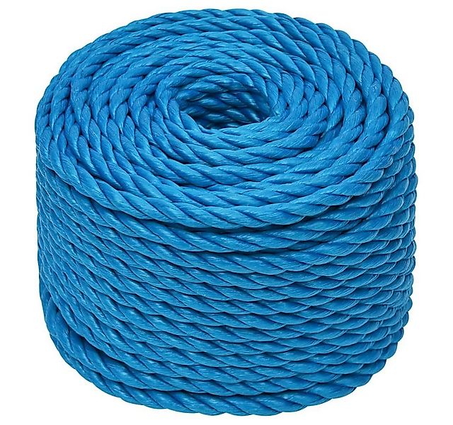 vidaXL Arbeitsseil Blau 20 mm 25 m Polypropylen Seil (1-tlg) günstig online kaufen