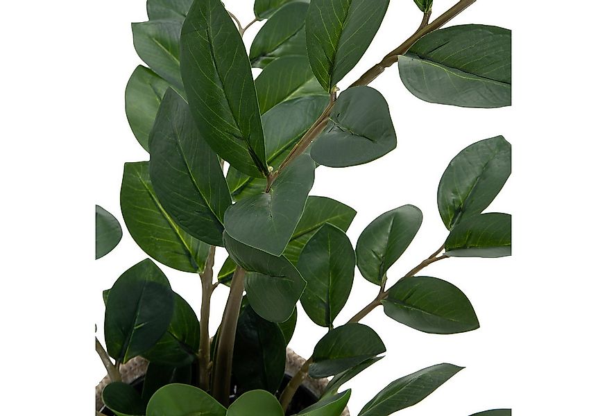 Kunstpflanze Kunstpflanze ZAMIE Kunststoff, Stoff Zamioculcas Zamiifolia, h günstig online kaufen