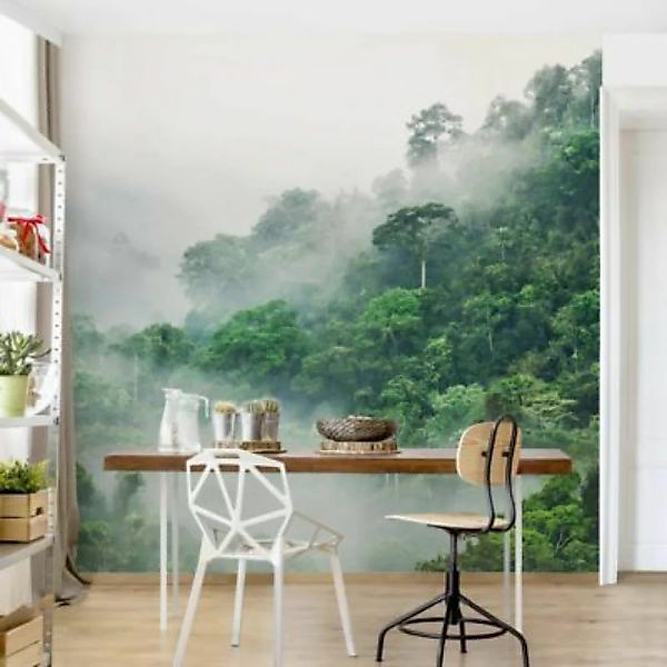 Bilderwelten Vliestapete Dschungel im Nebel grün Gr. 240 x 240 günstig online kaufen