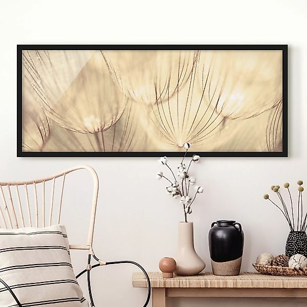 Bild mit Rahmen Blumen - Panorama Pusteblumen Nahaufnahme in wohnlicher Sep günstig online kaufen