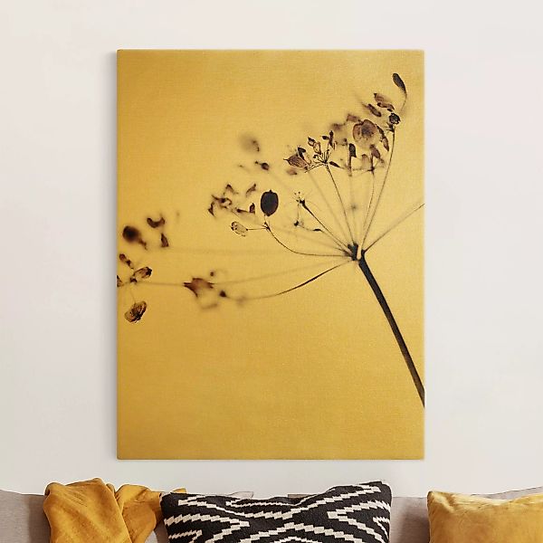 Leinwandbild Makroaufnahme Trockenblume im Schatten günstig online kaufen