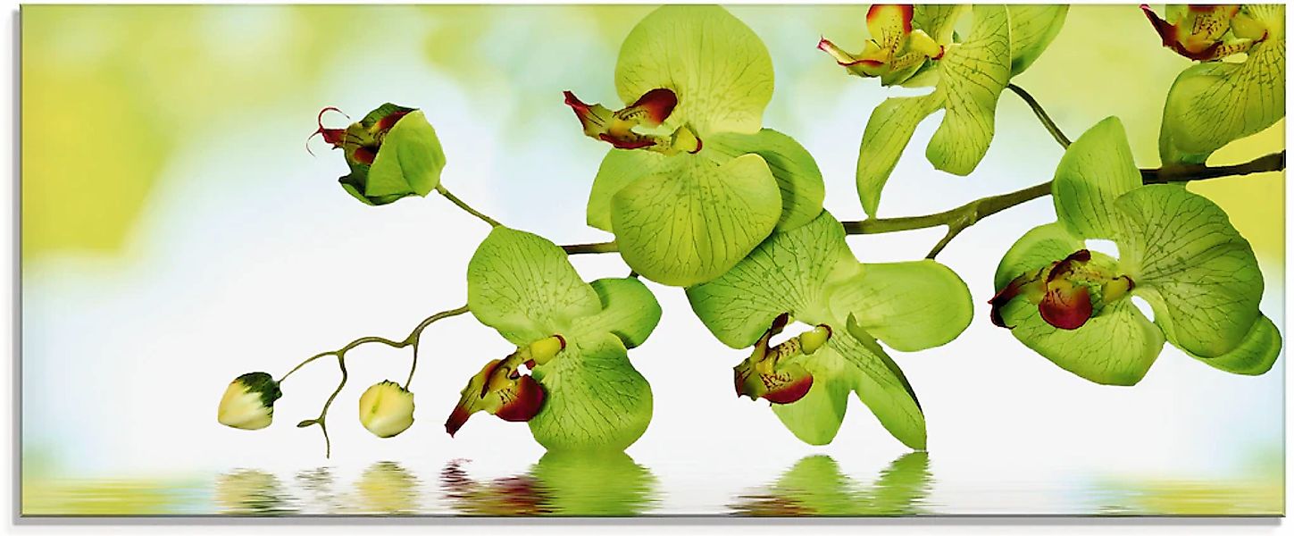 Artland Glasbild "Schöne Orchidee mit grünem Hintergrund" 1 Stk. tlg. in ve günstig online kaufen