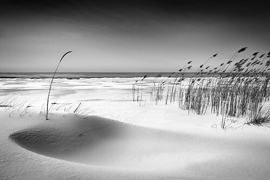 Papermoon Fototapete »Photo-Art REINIS CÄªRULIS, ORCHESTER« günstig online kaufen