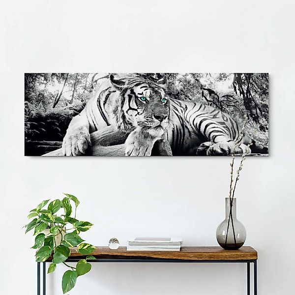 Reinders! Wandbild Tigerblick Wandbild Tiger - günstig online kaufen