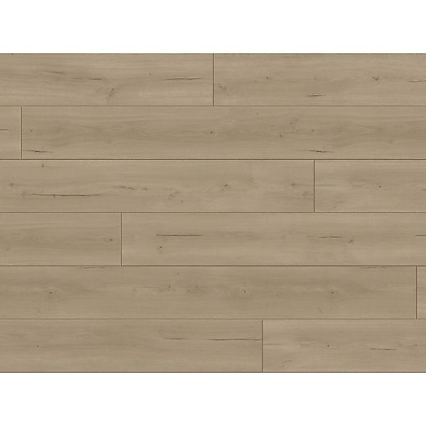 Parador Trendtime 6 Laminat 9 mm Wasserfest Eiche Loft Grau günstig online kaufen