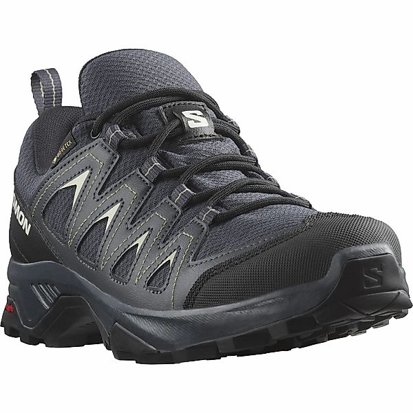 Salomon Wanderschuh "X BRAZE GORE-TEX", wasserdicht günstig online kaufen