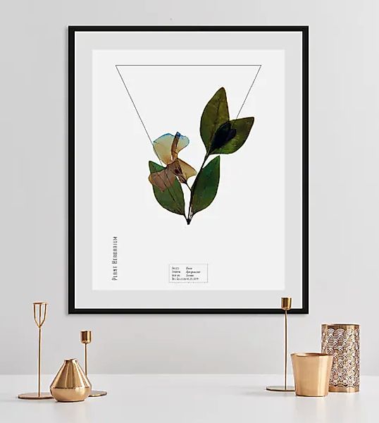 queence Bild »Vinca« Pflanzen   Pflanzenbilder   Schriftzug 1 Stk. tlg. HD günstig online kaufen