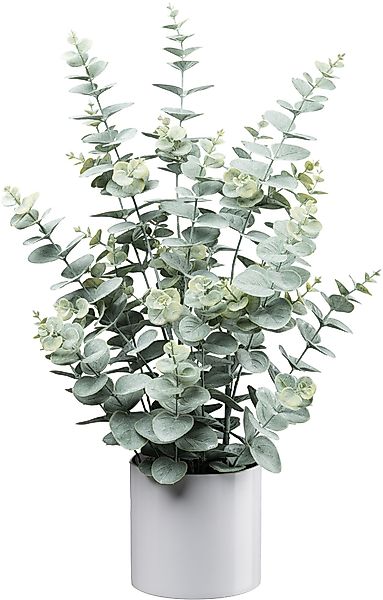 Kunstpflanze Eukalyptus, Creativ green, Höhe 66 günstig online kaufen
