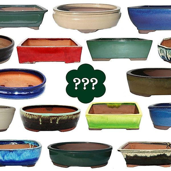 Exotenherz Pflanzschale Bonsai-Schale Größe 1 SONDERPOSTEN günstig online kaufen