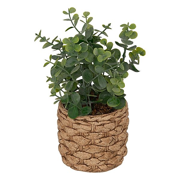 Kunstpflanze Zimmerpflanze, Atmosphera Créateur d'intérieur, Höhe günstig online kaufen